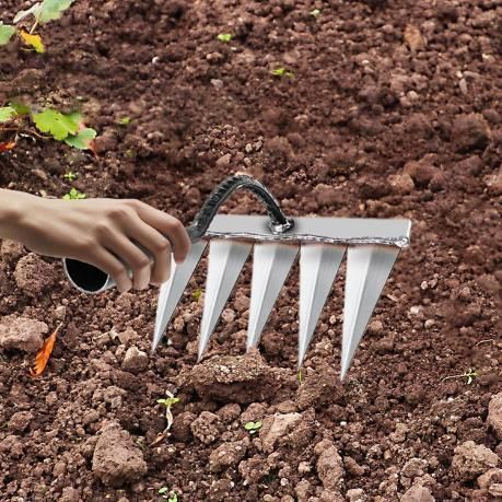 5 Teeth Weeding Tool