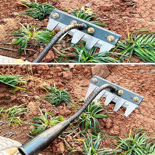 5 Teeth Weeding Tool