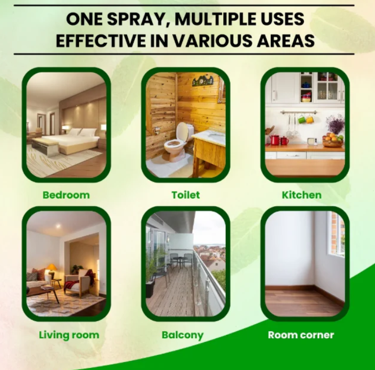 Lizard Repellent Spray - BUY 1 GET 2 FREE 🎁